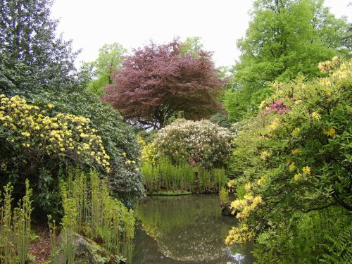 Bidulph Grange Gardens