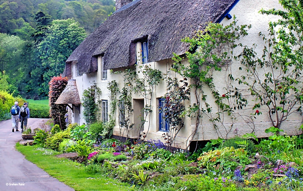 Photo of The edge of Exmoor