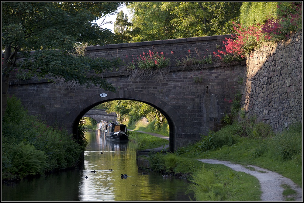 Photograph of An evening walk.