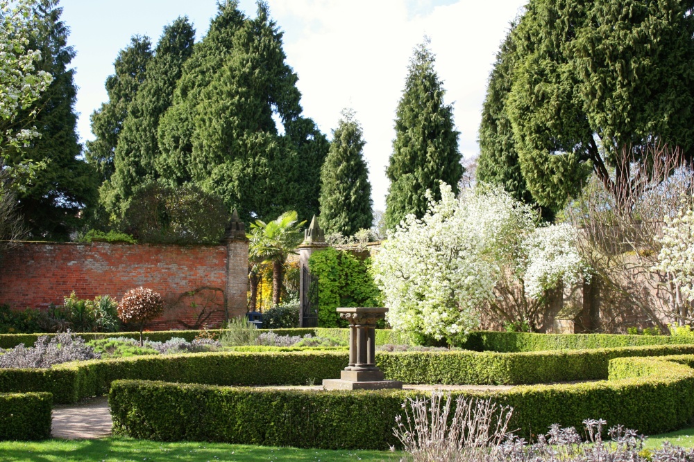 Photograph of A garden of beauty