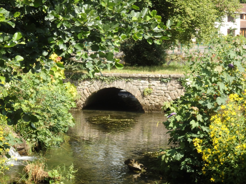 Photograph of Cheddar