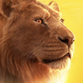 Highest Grossing Hollywood Films in India: Mufasa roars into the top ten