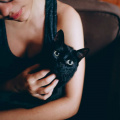 Aquarius to Cancer: Top 5 Zodiac Signs Who Are Destined to be Cat Parents