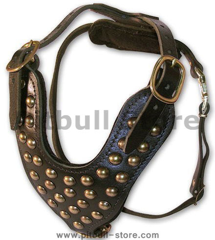 handmade leather dog harness for pitbulls