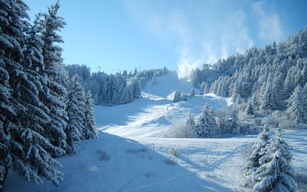 Beautiful Winter and Snow Hi Res.