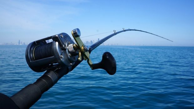 Creative Wallpaper Fishing Rod New York fisherman.