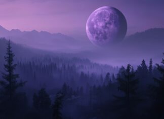 A striking purple moon hanging low in the sky above a dark, misty forest.