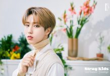 Stray Kids HD Wallpaper Free download.