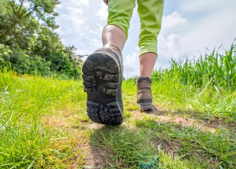 Walking through a field