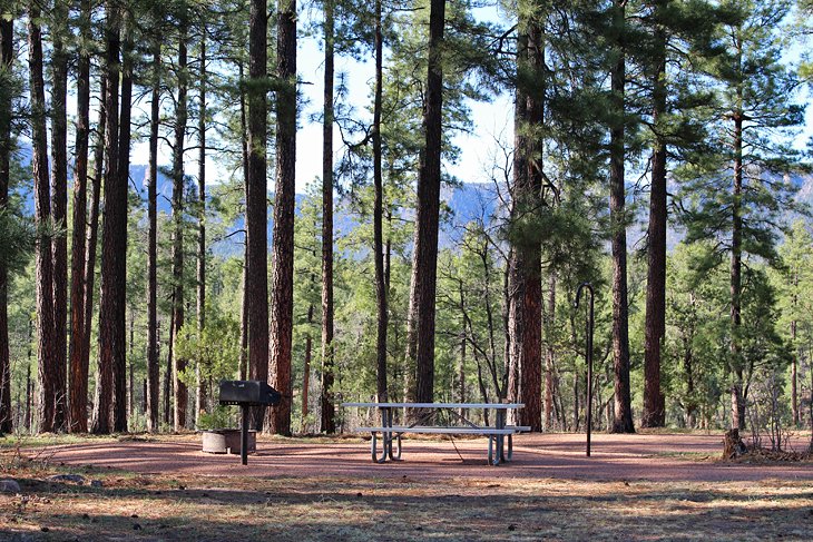 Sharp Creek Campground