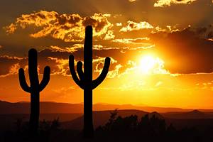 Arizona Travel Guide