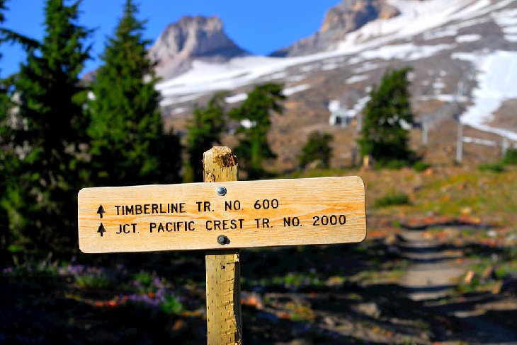 Timberline Trail