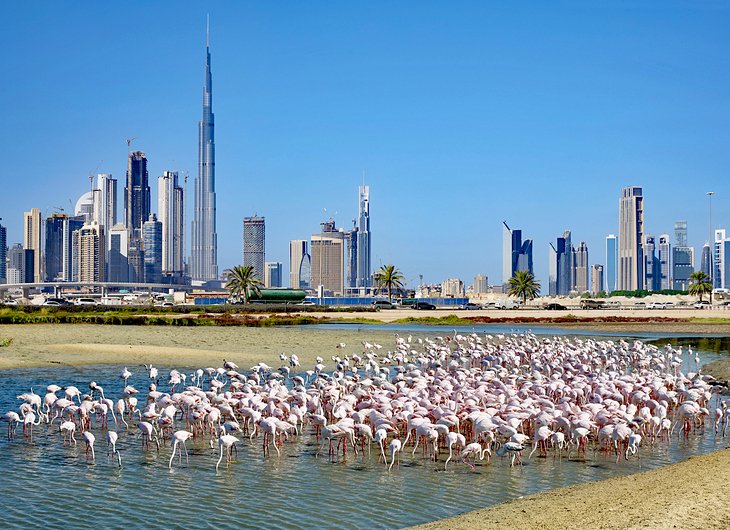 25 Top Rated Tourist Attractions In Dubai Planetware