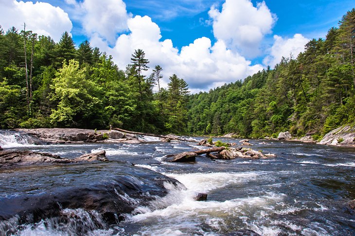 Chattooga River