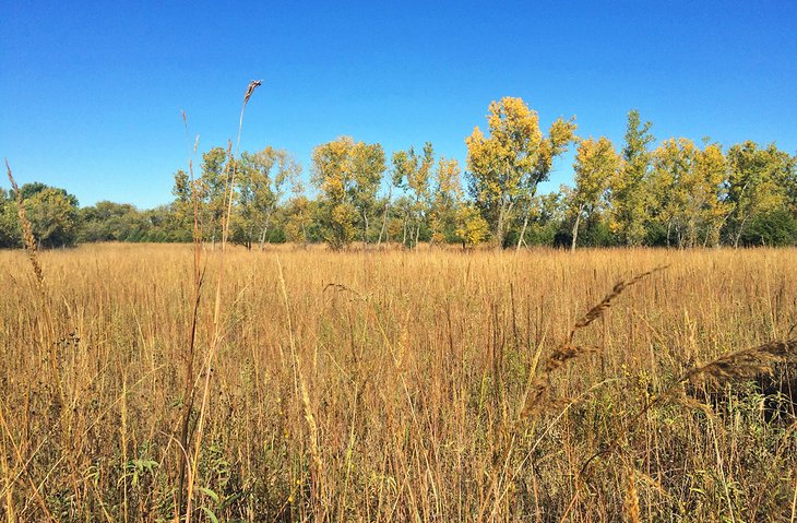 Great Plains Nature Center