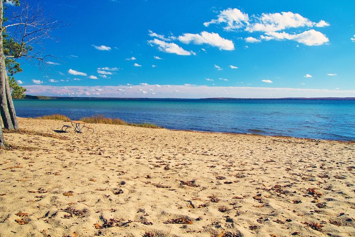 North Higgins Lake State Park