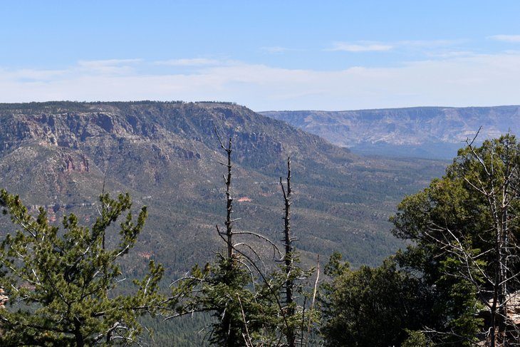 Mogollon Rim view