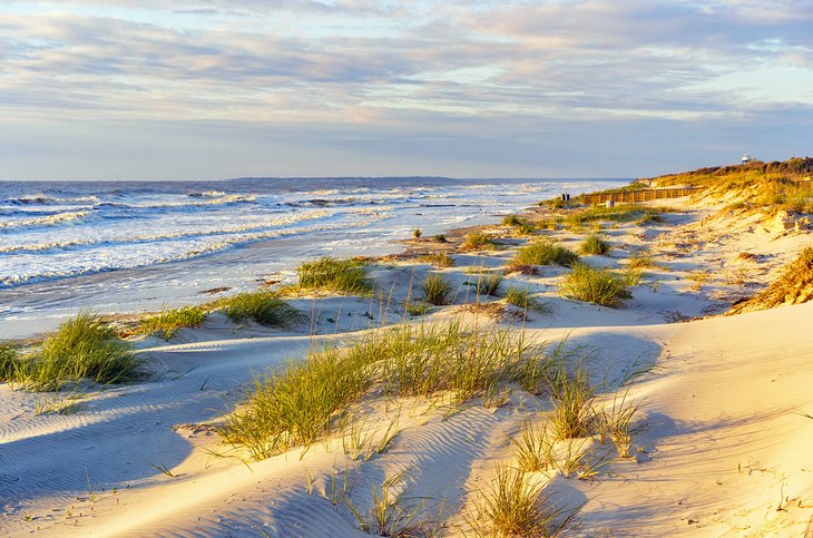 Dunes along the Georgia coastline