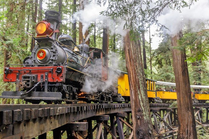 Roaring Camp Railroads