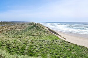 6 Favorite Hikes in Oregon Dunes National Recreation Area