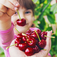 Dwarf Fruit Trees