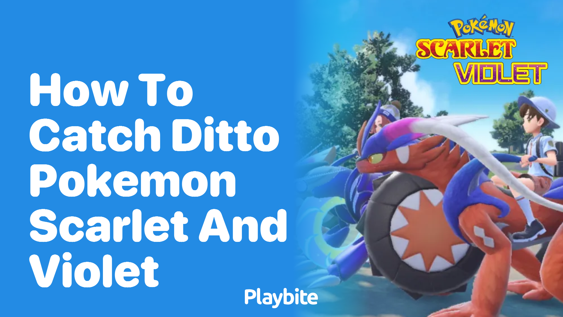 How to catch Ditto in Pokémon Scarlet and Violet - Playbite