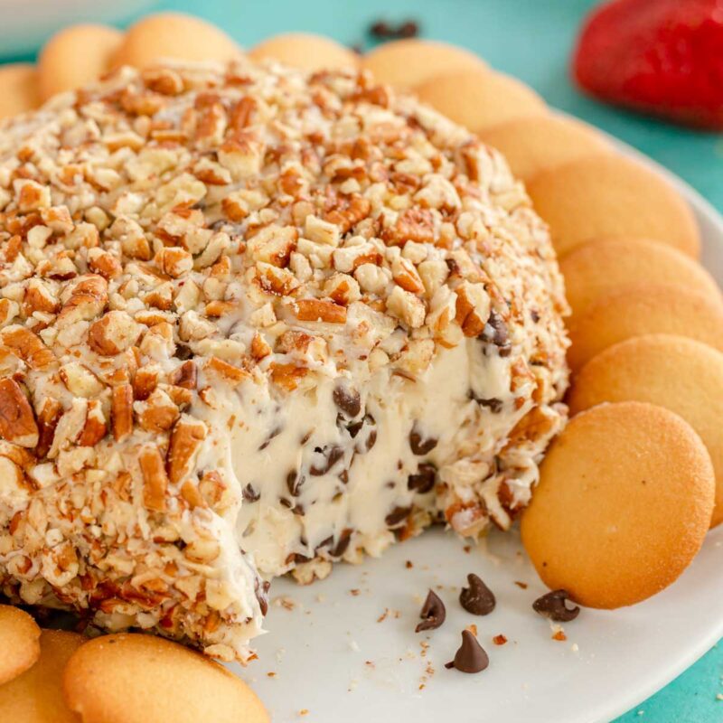 chocolate chip cheese ball on a white plate