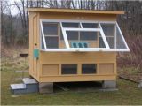 Homing Pigeon Loft Plans Best 25 Pigeon Loft Ideas On Pinterest Racing Pigeon