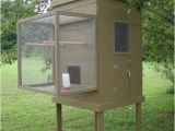 Homing Pigeon Loft Plans Small Pigeon Loft Design Ideas Pigeon Coop Hobby