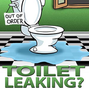 Finding and Fixing Toilet Leaks