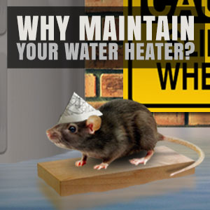 Why You Need to Maintain Your Water Heater