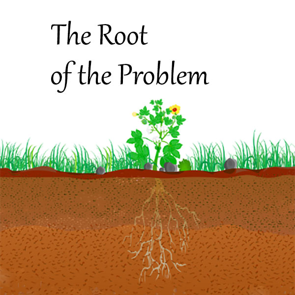 How to Protect your Plumbing from Roots