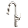 Deluxe kitchen faucet