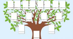 ¿Qué es un árbol genealógico?