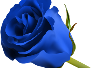 Blue Flower PNG File