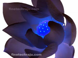 Blue Flower PNG HD Image