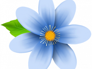 Blue Flower PNG Image HD