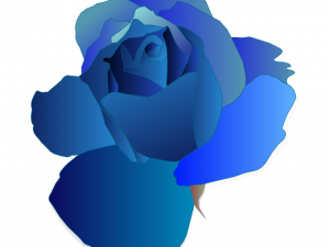 Blue Flower PNG Images