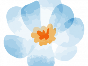 Blue Flower Spring PNG