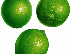 Citrus Lime PNG Images