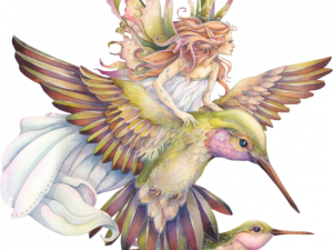 Fairy Bird No Background