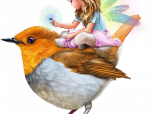 Fairy Bird PNG Free Image