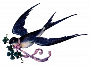 Fairy Bird PNG Image