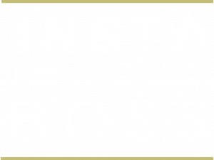 Like A Boss PNG Image HD