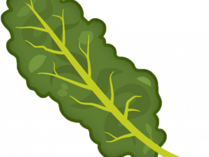 Kale Healthy Food PNG Clipart