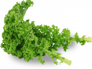 Kale Healthy Food PNG Cutout