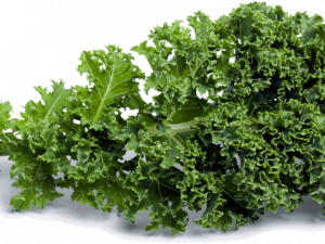 Kale Healthy Food PNG Photos