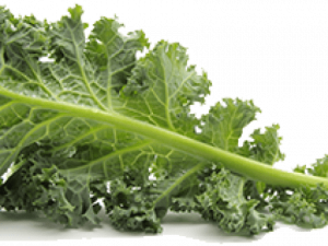 Kale Healthy Food Transparent