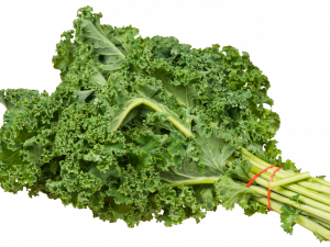 Kale PNG Cutout