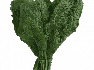 Kale PNG Image